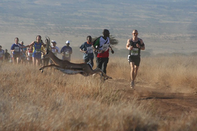 Kenya Wildlife-Marathon